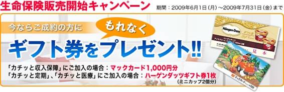 「生命保険販売開始キャンペーン」