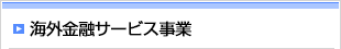 海外金融サービス事業