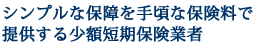 シンプルな保険を手頃な保険料で提供する少額短期保険の会社