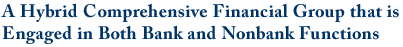 A Hybrid Comprehensive Financial Group that is Engaged in Both Bank and Nonbank Functions