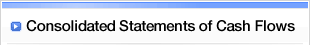 Consolidated Statements of Cash Flows