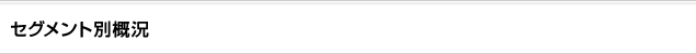 セグメント別概況