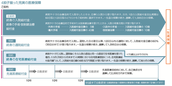 保障内容