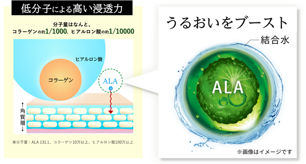 SBIアラプロモ】「緑の募金」寄付のご報告 サステナブルコスメ「ALA